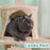 57” Cat Tree Tower for Indoor Cats Stand House Furniture, Multi-Fun Kittens Activity Cat Condo with Hammock Cat Scratcher Plush Perch - AA Products Inc
