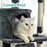 57” Cat Tree Tower for Indoor Cats Stand House Furniture, Multi-fun Kittens Activity Cat Condo with Hammock Cat Scratcher Plush Perch for Play Rest - AA Products Inc